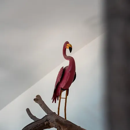 La Tour De * Lapalme